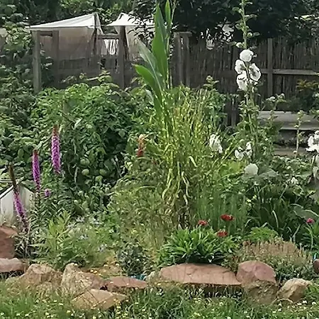 Lejlighed Im Gartenhaus Kelbra