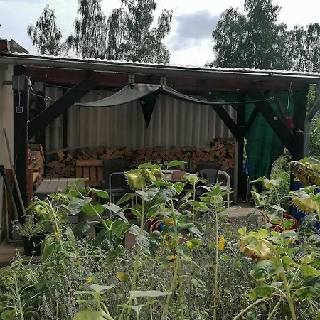 Im Gartenhaus