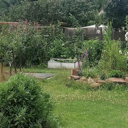 Apartment Im Gartenhaus *