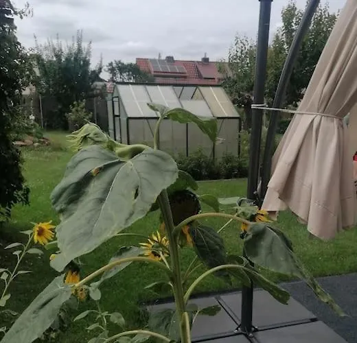 Im Gartenhaus * Kelbra