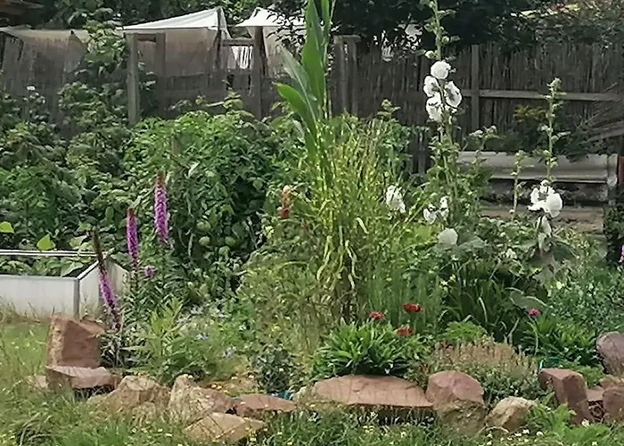 Lejlighed Im Gartenhaus Kelbra